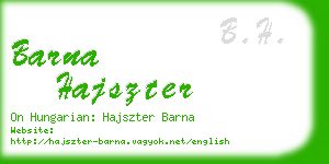 barna hajszter business card